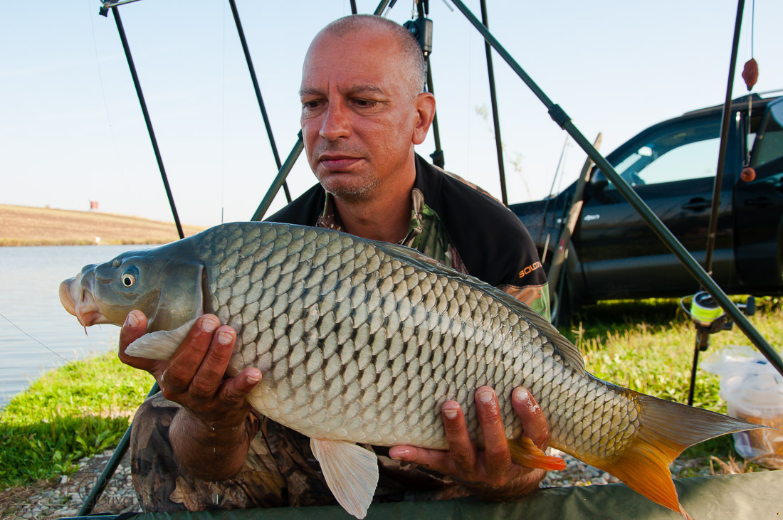 carpbook (149 of 185).jpg