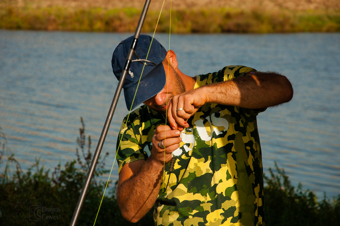 carpbook (145 of 185).jpg
