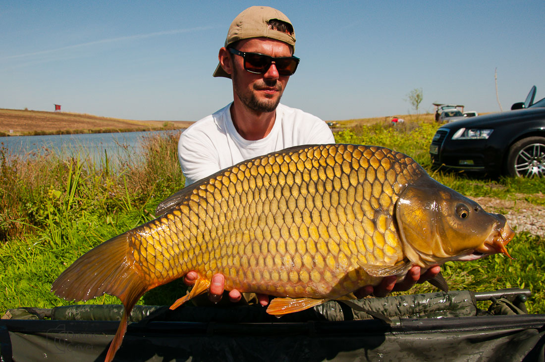 carpbook (152 of 185).jpg
