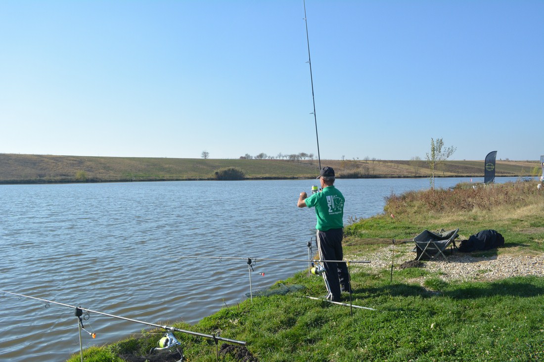 DSC_6610 (Copy).JPG
