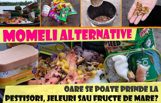 momeli-alternative.jpg