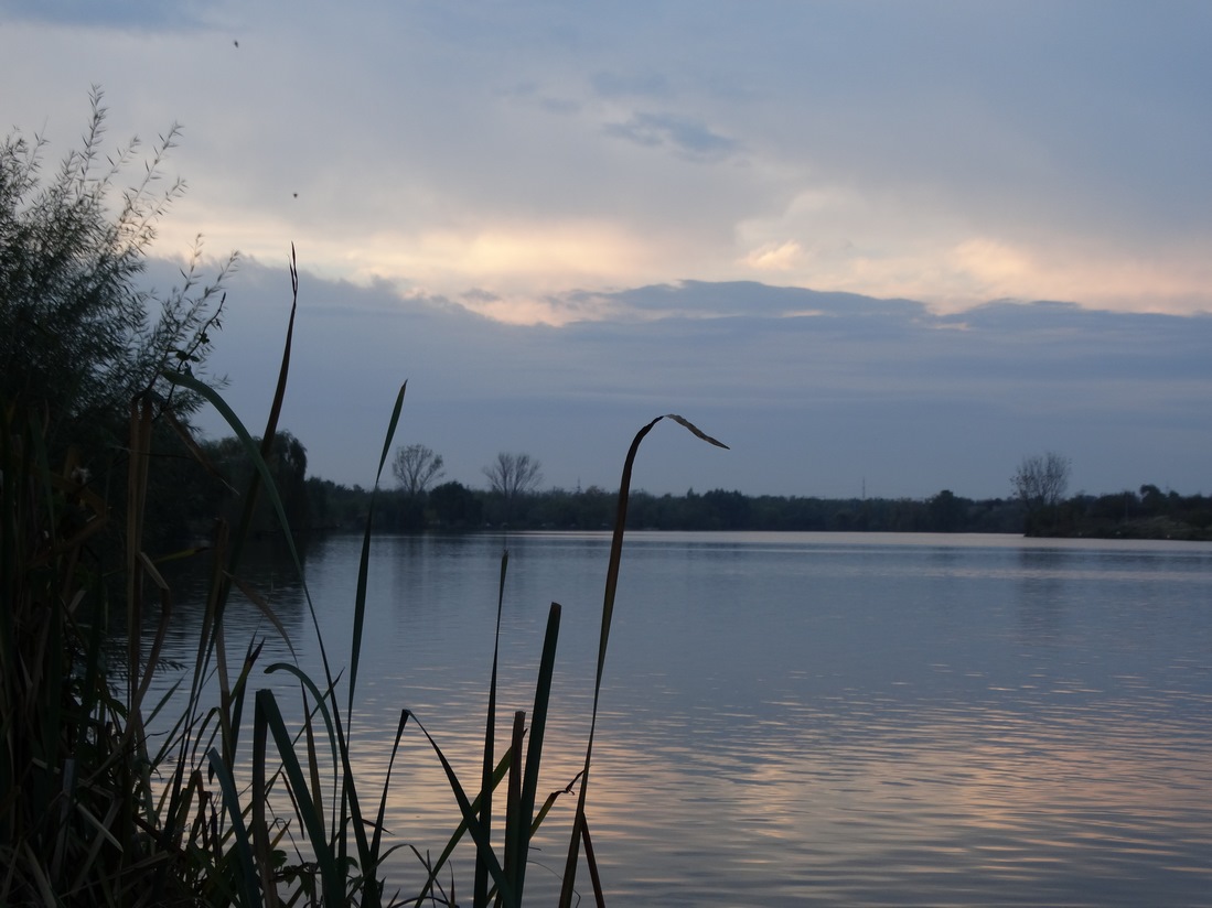 DSC04699 (Copy).JPG