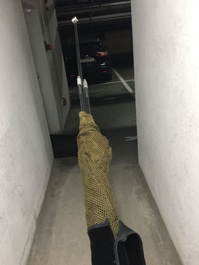 IMG-20180208-WA0006.jpg