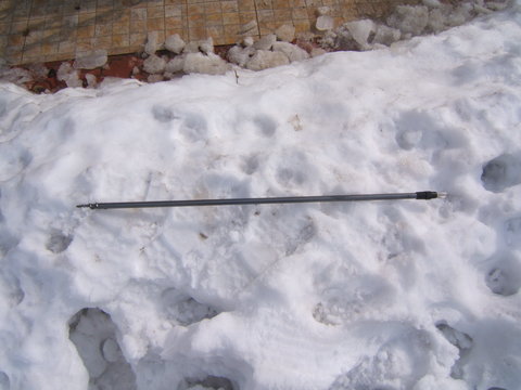 DSCF2820.JPG