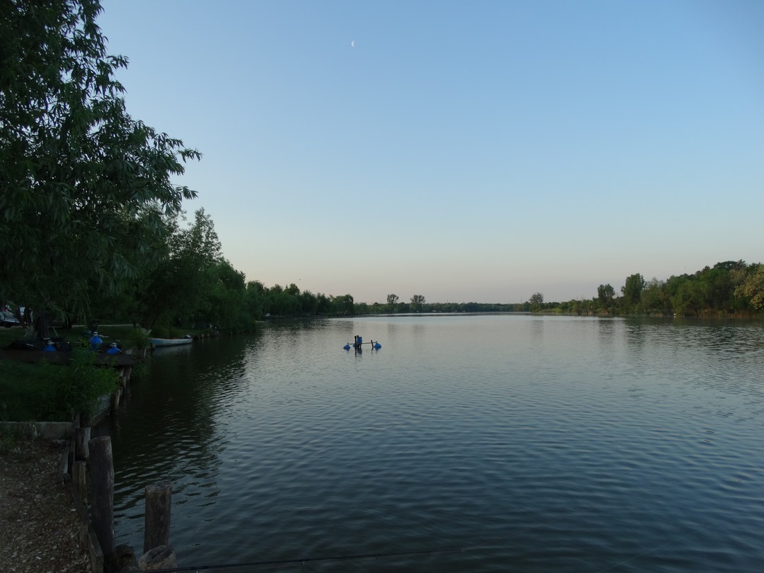 DSC06856 (Copy).JPG