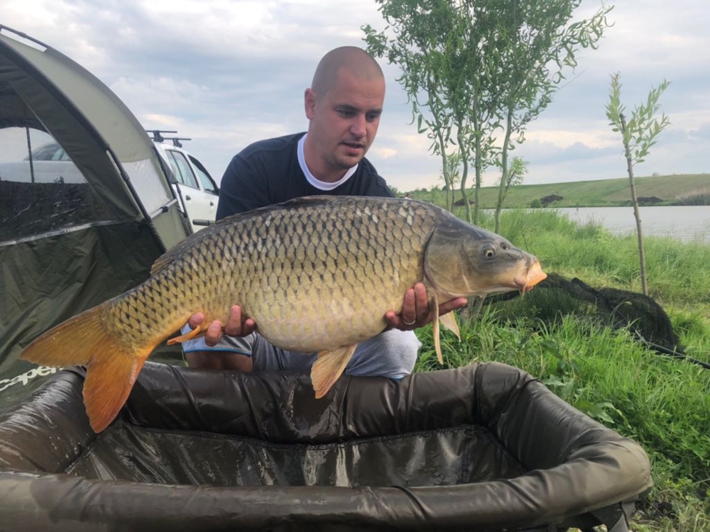 WhatsApp Image 2018-05-28 at 11.16.52.jpg