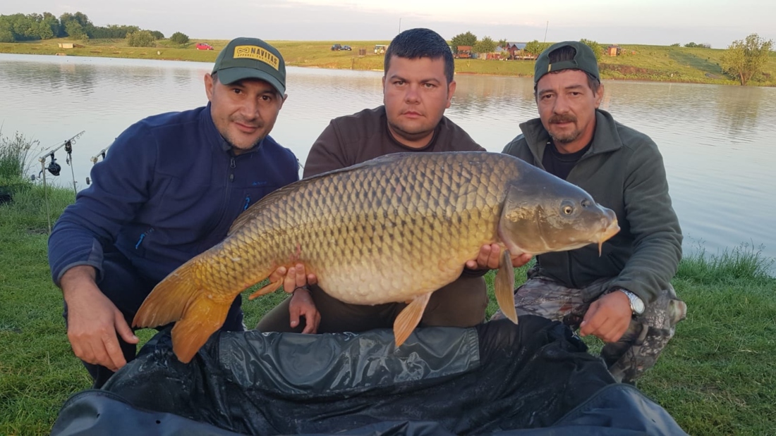 WhatsApp Image 2018-05-28 at 11.16.52(3).jpg