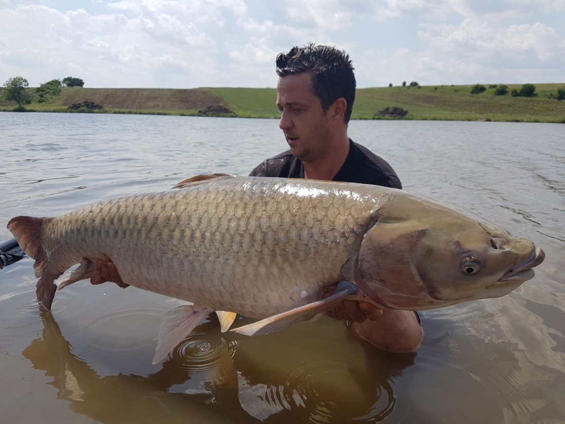 WhatsApp Image 2018-05-28 at 11.16.52(1).jpg