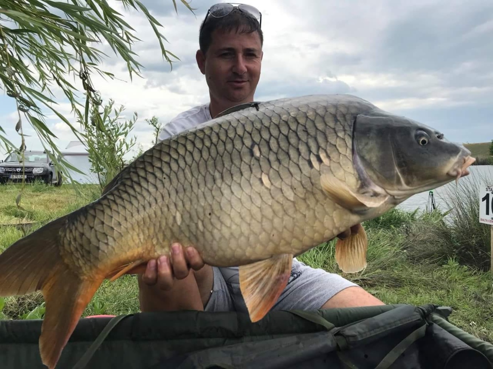 WhatsApp Image 2018-05-28 at 11.15.42(1).jpg