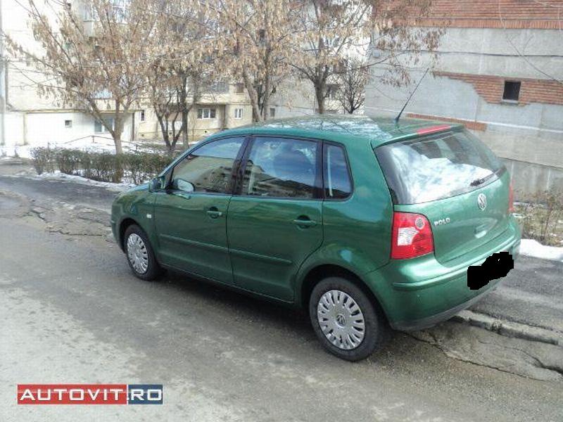 polo4.jpg