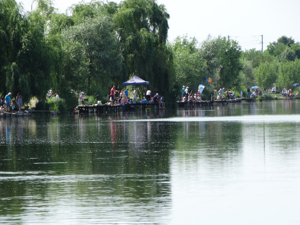 DSC07303 (Copy).JPG