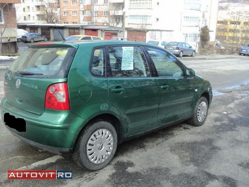 polo5.jpg