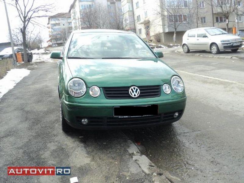 polo1.jpg