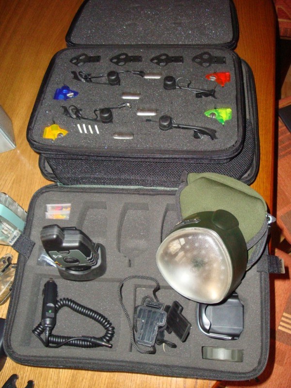 Fox02.JPG