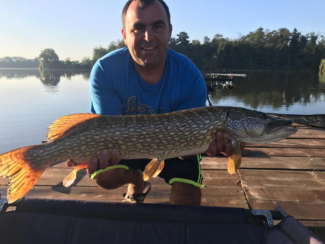 IMG-20180814-WA0004 (Copy).jpg