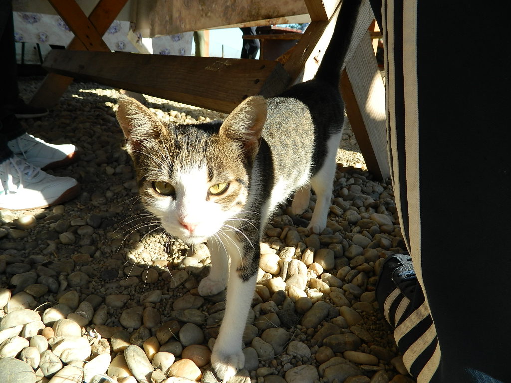 DSCN2201.JPG