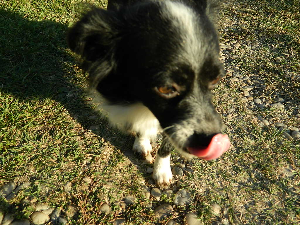 DSCN2275.JPG