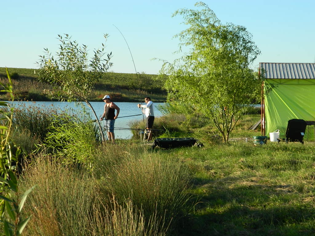DSCN2277.JPG
