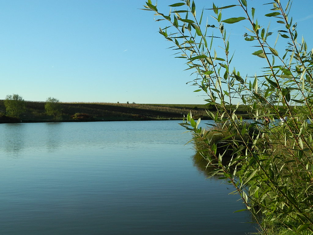 DSCN2279.JPG