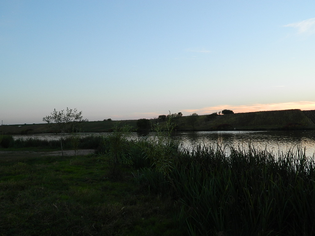 DSCN2302.JPG
