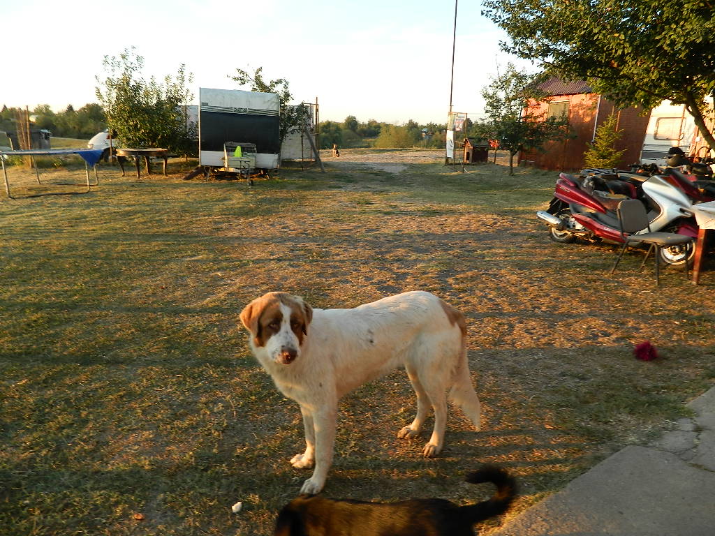 DSCN2359.JPG