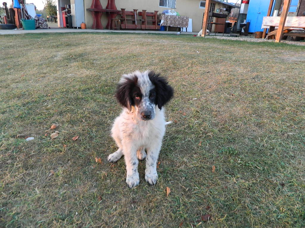 DSCN2522.JPG