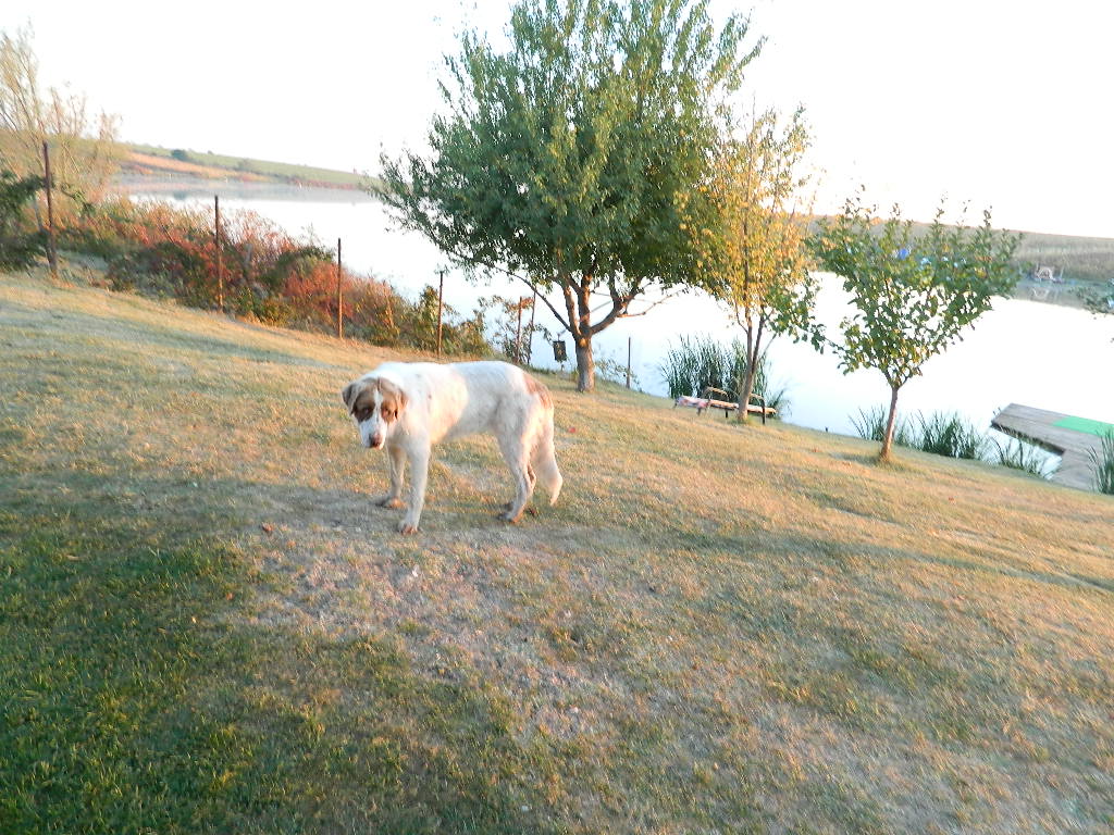DSCN2525.JPG