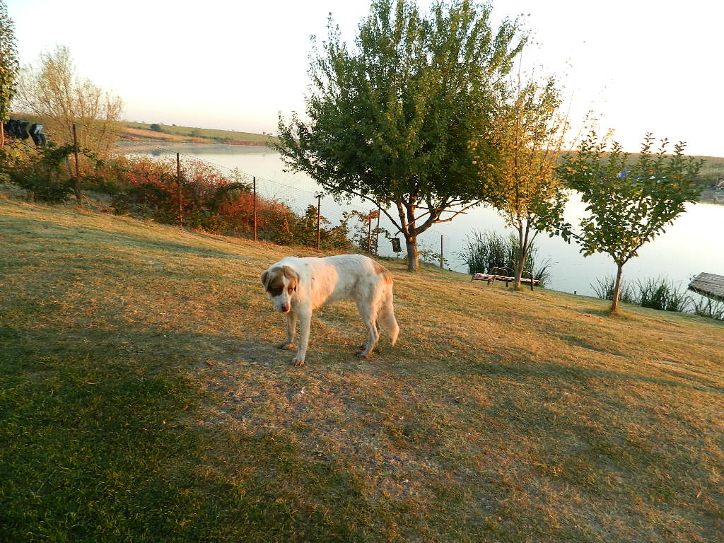 DSCN2526.JPG