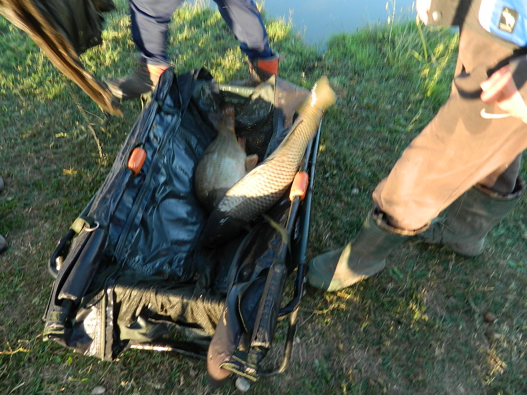 DSCN2532.JPG