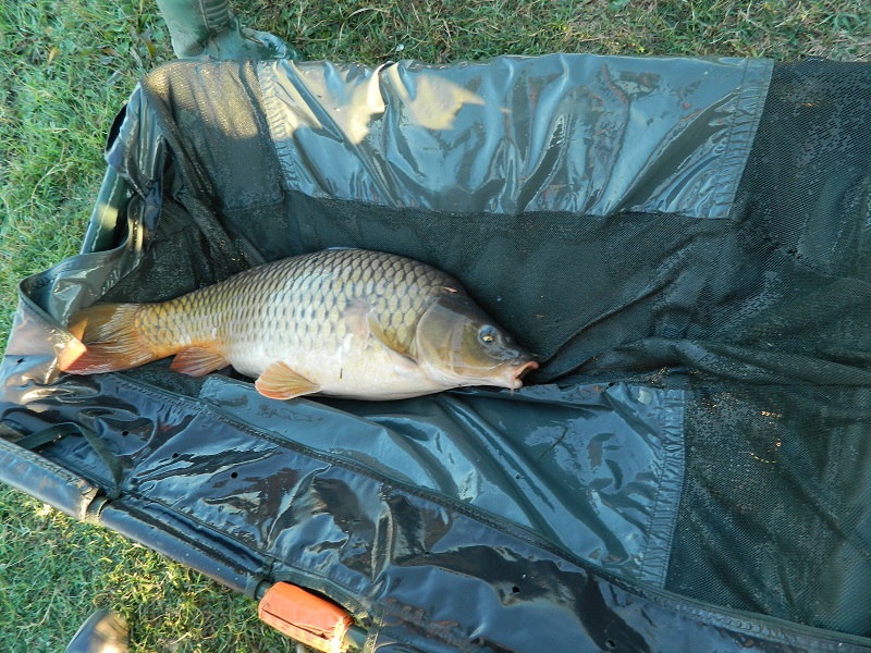 DSCN2538.JPG