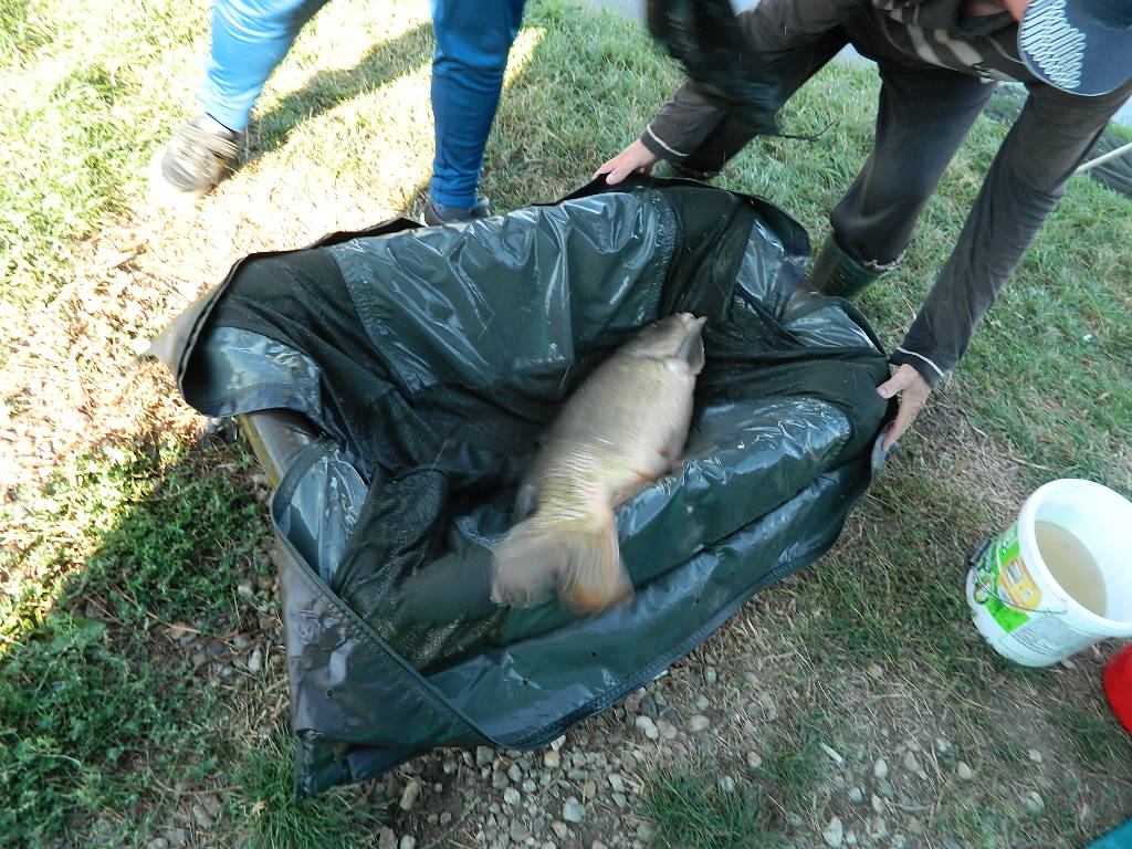 DSCN2608.JPG