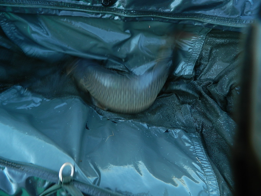 DSCN2612.JPG