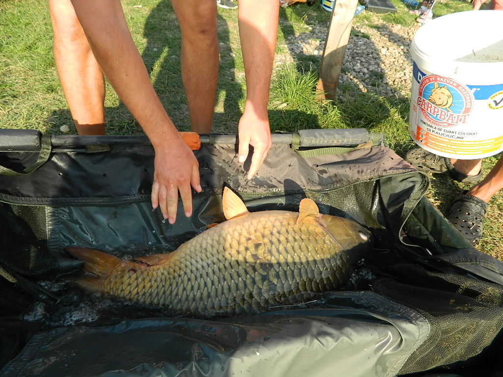 DSCN2657.JPG