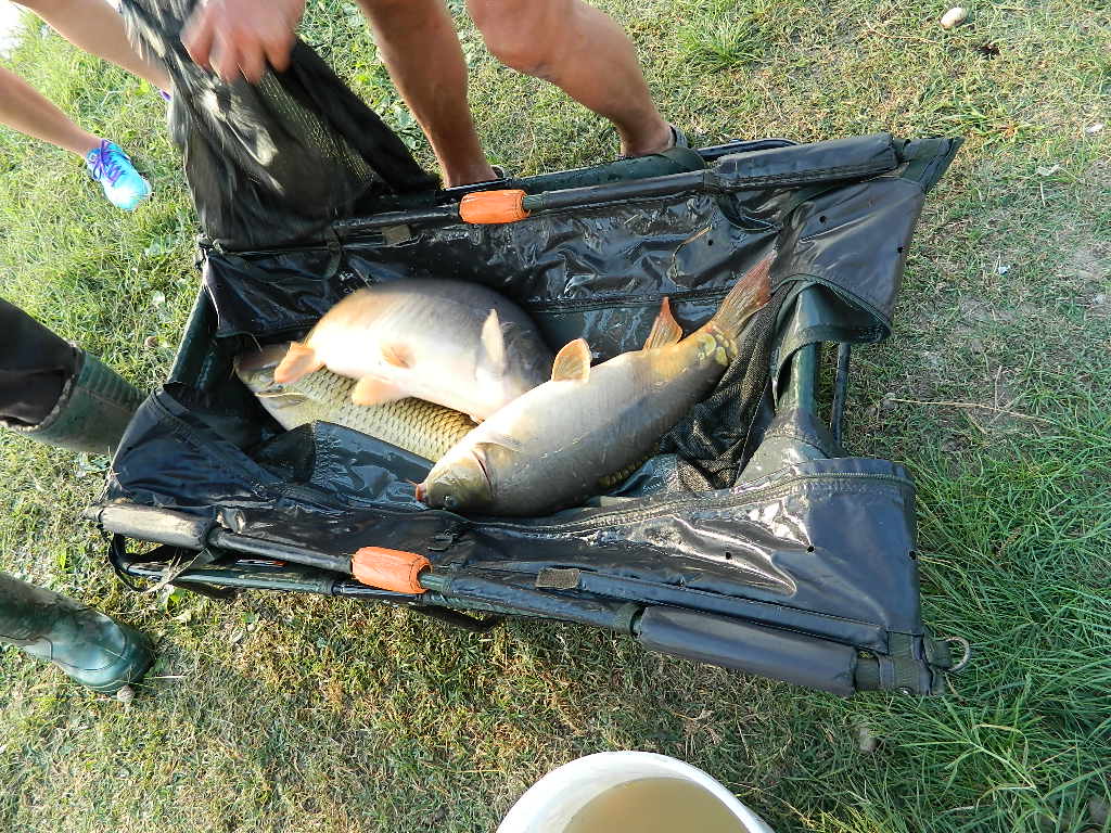 DSCN2670.JPG