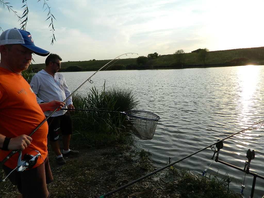 DSCN2678.JPG