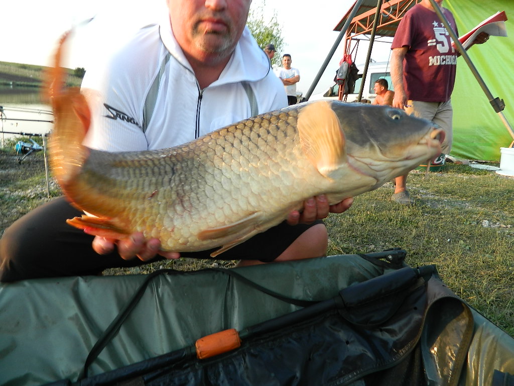 DSCN2707.JPG
