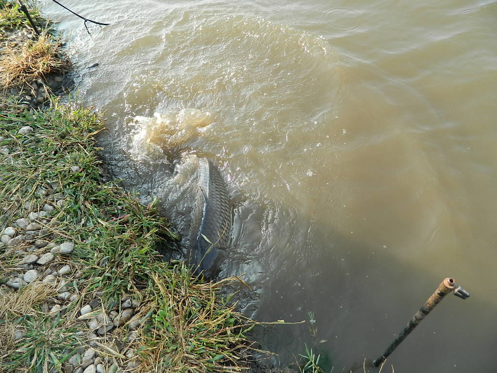 DSCN2823.JPG