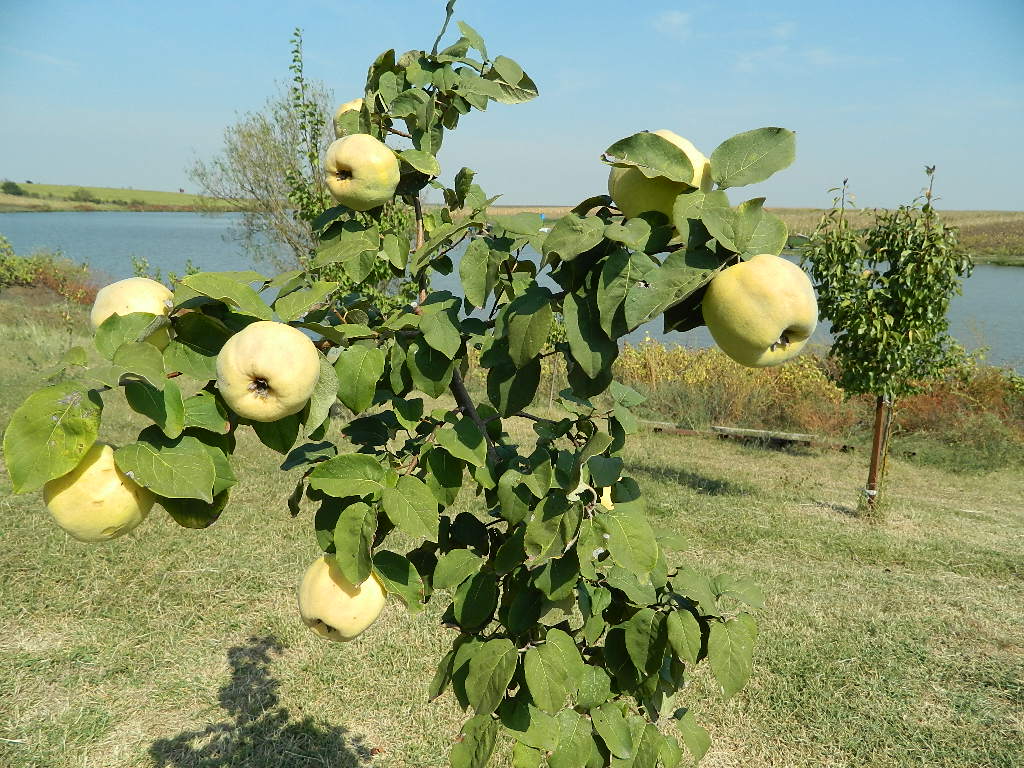 DSCN2876.JPG