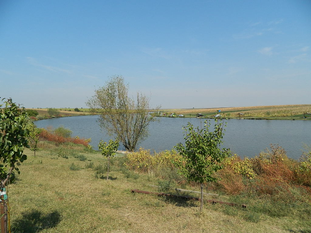 DSCN2878.JPG