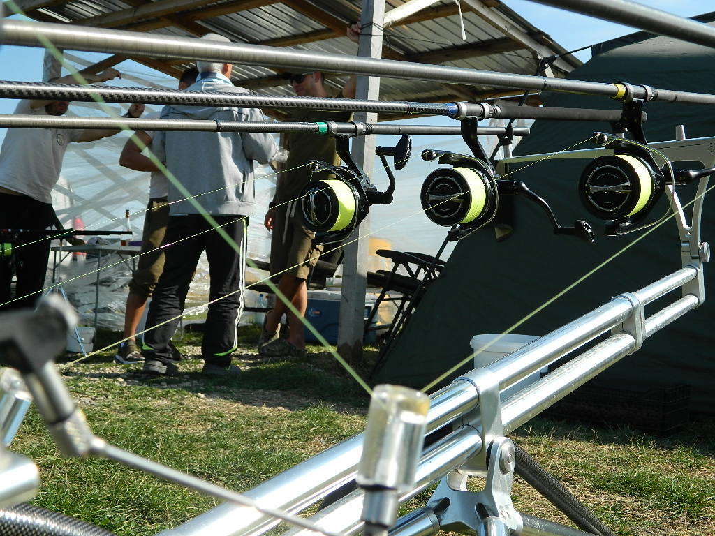 DSCN3638.JPG