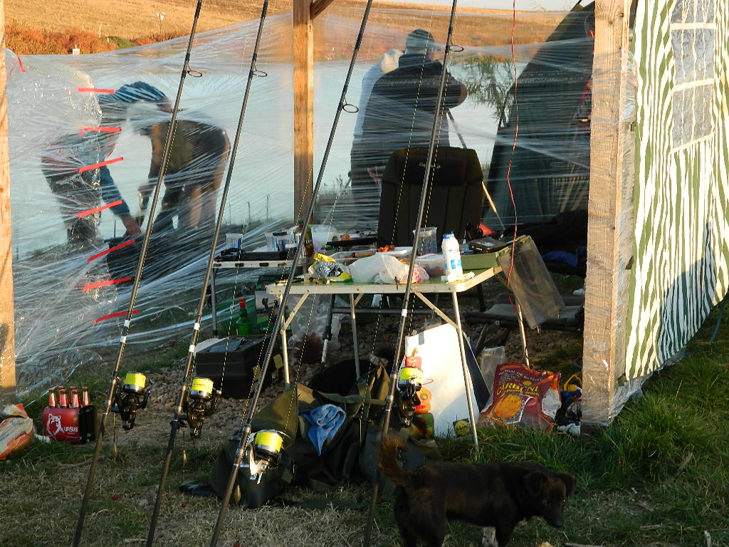 DSCN3688.JPG