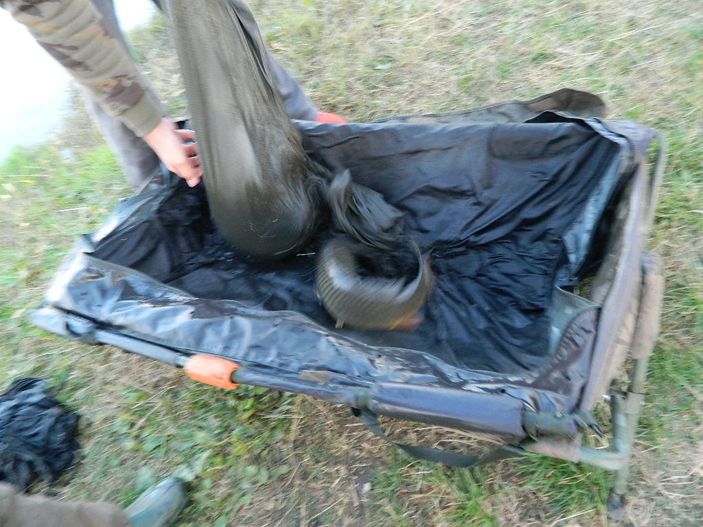 DSCN3689.JPG