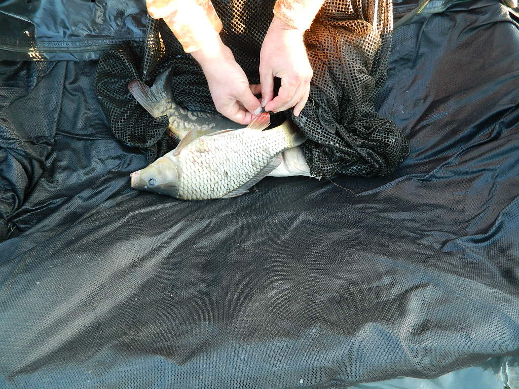 DSCN3727.JPG