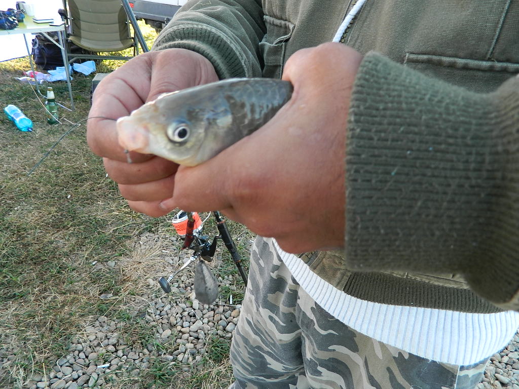 DSCN3756.JPG