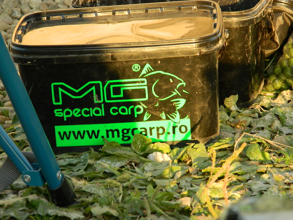 DSCN3937.JPG