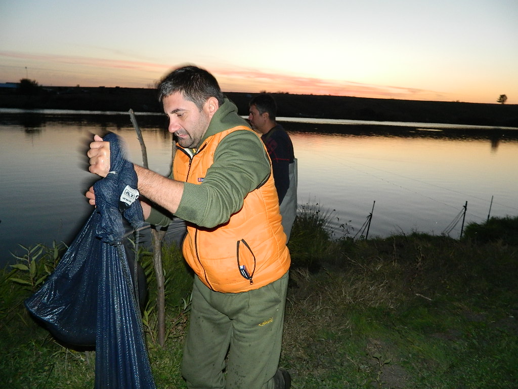 DSCN4104.JPG