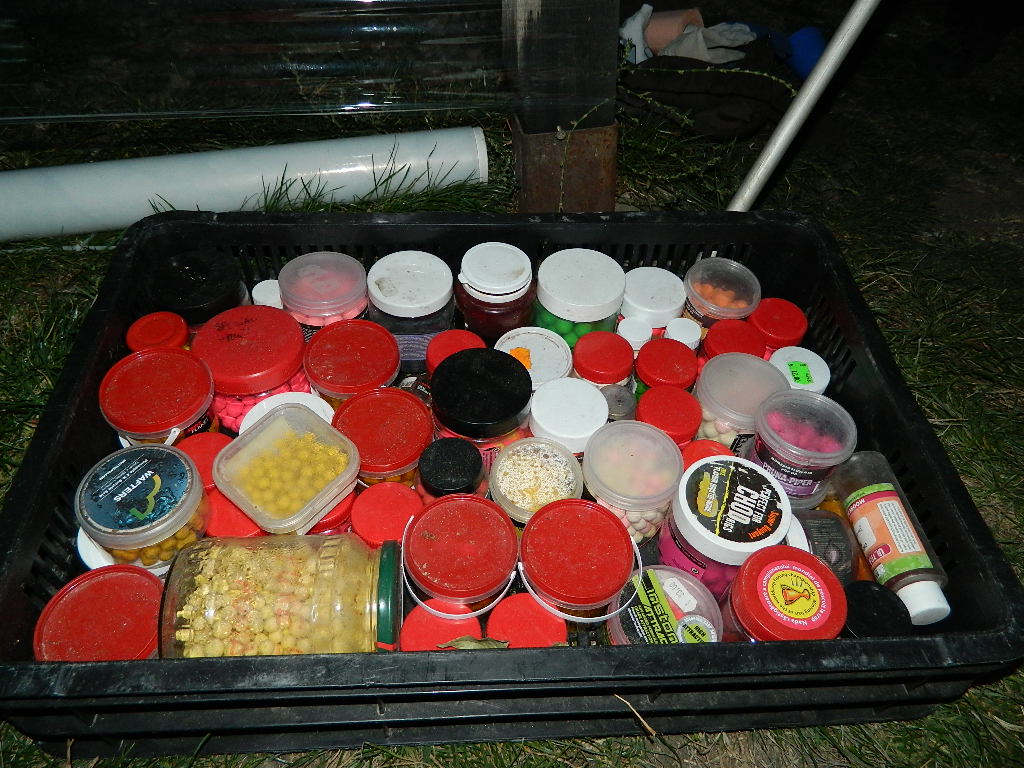 DSCN4116.JPG