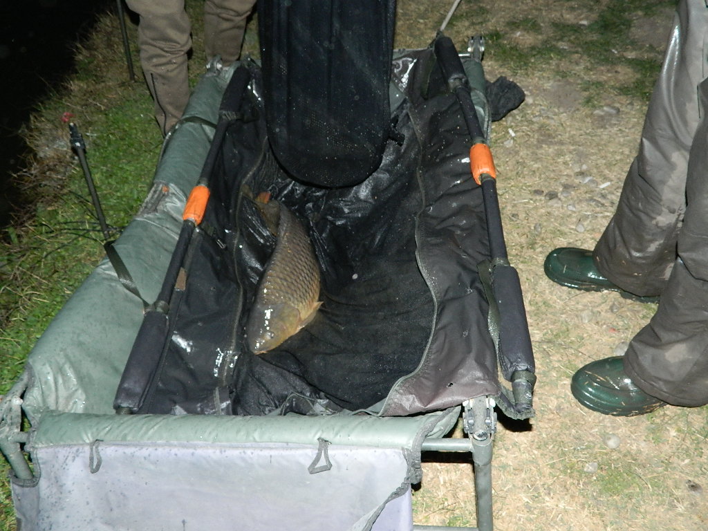 DSCN4119.JPG