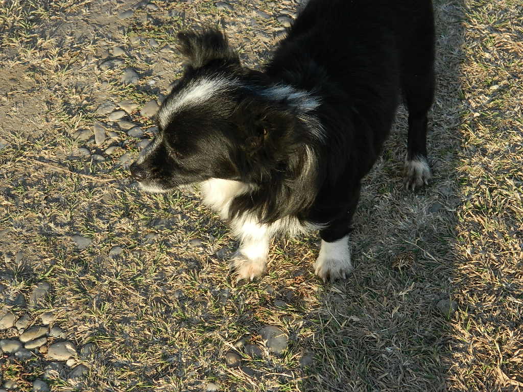 DSCN4298.JPG