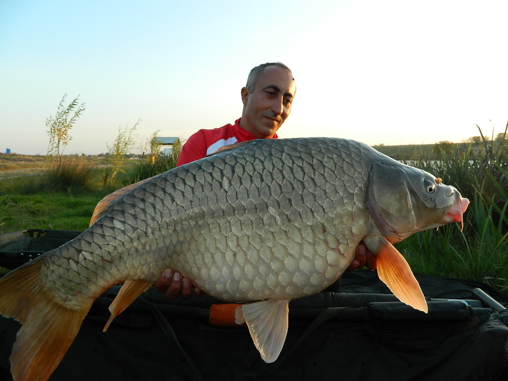 DSCN3976.JPG